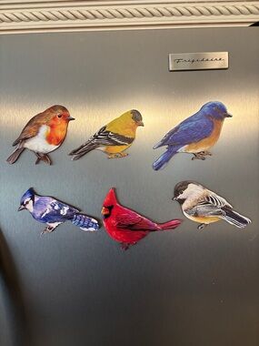 6🐦‍⬛Bird Magnet Set - Colorful Decorative Bird Magnets for Fridge